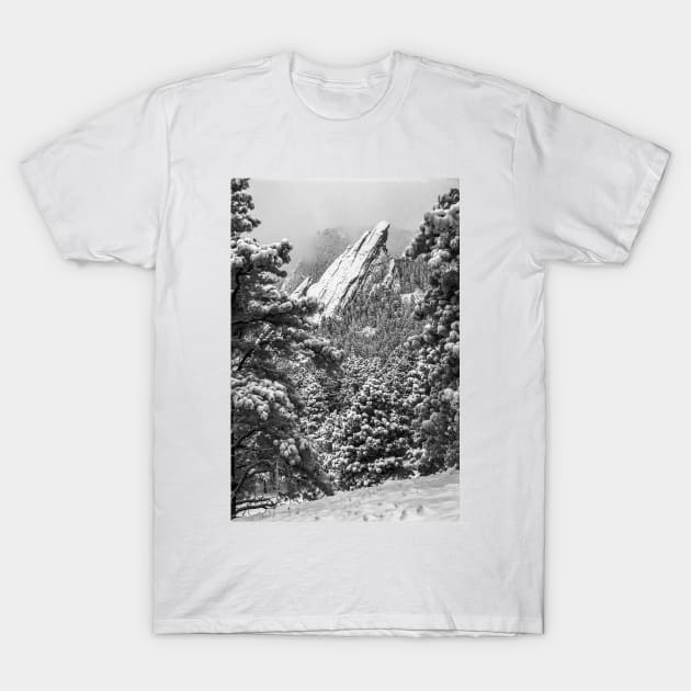 The Third Flatiron T-Shirt by nikongreg